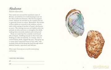 The Shell Spotter's Guide: Every shell has a story to tell. Discover the secrets of these treasures of the sea (National Trust) - Helen Scales [KSIĄŻKA]