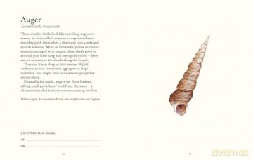 The Shell Spotter's Guide: Every shell has a story to tell. Discover the secrets of these treasures of the sea (National Trust) - Helen Scales [KSIĄŻKA]