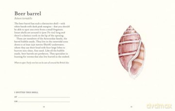 The Shell Spotter's Guide: Every shell has a story to tell. Discover the secrets of these treasures of the sea (National Trust) - Helen Scales [KSIĄŻKA]