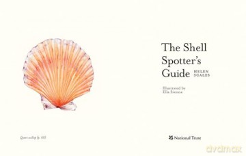 The Shell Spotter's Guide: Every shell has a story to tell. Discover the secrets of these treasures of the sea (National Trust) - Helen Scales [KSIĄŻKA]