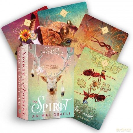 The Spirit Animal Oracle: A 68-Card Deck and Guidebook - Colette Baron-Reid [KSIĄŻKA]