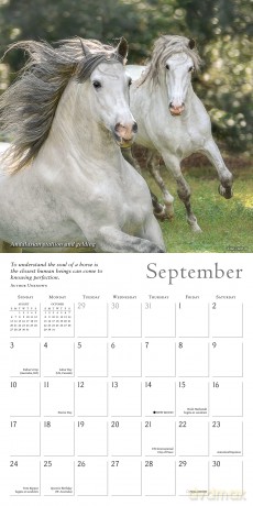The Spirited Horse 2023 Calendar (WALL 16 MONTH) [KALENDARZ]