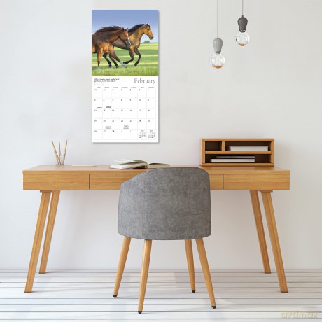 The Spirited Horse 2023 Calendar (WALL 16 MONTH) [KALENDARZ]