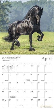 The Spirited Horse 2023 Calendar (WALL 16 MONTH) [KALENDARZ]