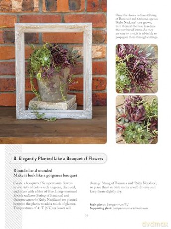The Succulents Design Book: Container Combinations That Look Great and Thrive Together Year-Round - Kentaro Kuroda [KSIĄŻKA]