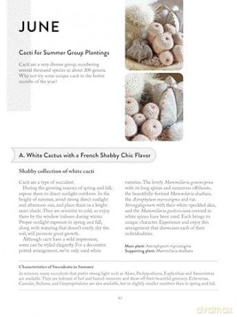 The Succulents Design Book: Container Combinations That Look Great and Thrive Together Year-Round - Kentaro Kuroda [KSIĄŻKA]