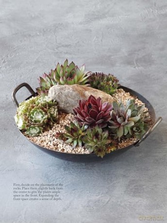 The Succulents Design Book: Container Combinations That Look Great and Thrive Together Year-Round - Kentaro Kuroda [KSIĄŻKA]