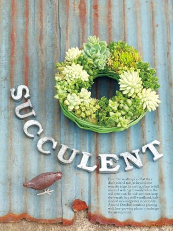 The Succulents Design Book: Container Combinations That Look Great and Thrive Together Year-Round - Kentaro Kuroda [KSIĄŻKA]