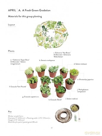 The Succulents Design Book: Container Combinations That Look Great and Thrive Together Year-Round - Kentaro Kuroda [KSIĄŻKA]