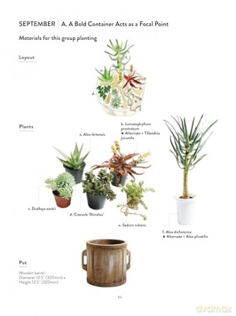 The Succulents Design Book: Container Combinations That Look Great and Thrive Together Year-Round - Kentaro Kuroda [KSIĄŻKA]