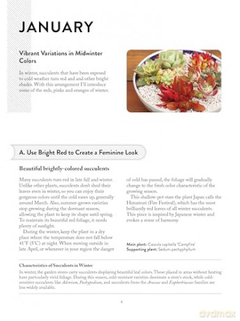 The Succulents Design Book: Container Combinations That Look Great and Thrive Together Year-Round - Kentaro Kuroda [KSIĄŻKA]