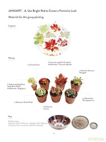 The Succulents Design Book: Container Combinations That Look Great and Thrive Together Year-Round - Kentaro Kuroda [KSIĄŻKA]
