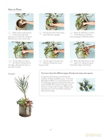 The Succulents Design Book: Container Combinations That Look Great and Thrive Together Year-Round - Kentaro Kuroda [KSIĄŻKA]