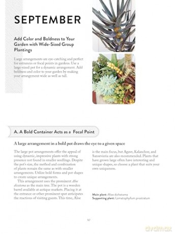 The Succulents Design Book: Container Combinations That Look Great and Thrive Together Year-Round - Kentaro Kuroda [KSIĄŻKA]