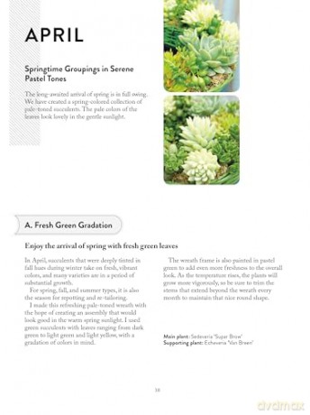The Succulents Design Book: Container Combinations That Look Great and Thrive Together Year-Round - Kentaro Kuroda [KSIĄŻKA]
