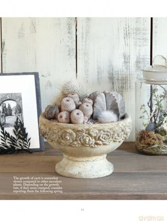 The Succulents Design Book: Container Combinations That Look Great and Thrive Together Year-Round - Kentaro Kuroda [KSIĄŻKA]