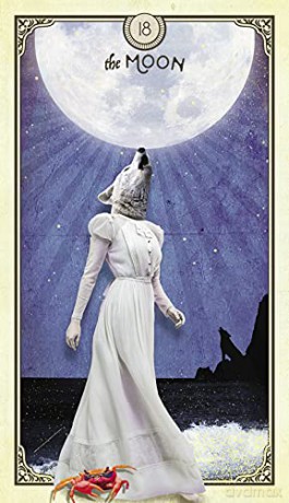 The Tarot of Curious Creatures: A 78 (+1) Card Deck and Guidebook - Chris-Anne [KSIĄŻKA]