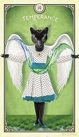 The Tarot of Curious Creatures: A 78 (+1) Card Deck and Guidebook - Chris-Anne [KSIĄŻKA]