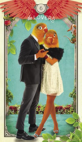 The Tarot of Curious Creatures: A 78 (+1) Card Deck and Guidebook - Chris-Anne [KSIĄŻKA]