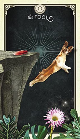 The Tarot of Curious Creatures: A 78 (+1) Card Deck and Guidebook - Chris-Anne [KSIĄŻKA]