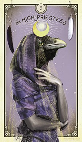 The Tarot of Curious Creatures: A 78 (+1) Card Deck and Guidebook - Chris-Anne [KSIĄŻKA]