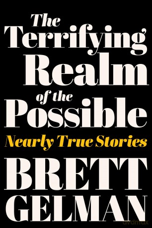 The Terrifying Realm of the Possible: Nearly True Stories - Gelman Brett [KSIĄŻKA]