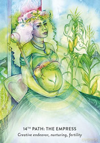 The Tree of Life Oracle: A 44-Card Deck and Guidebook - David Wells [KSIĄŻKA]