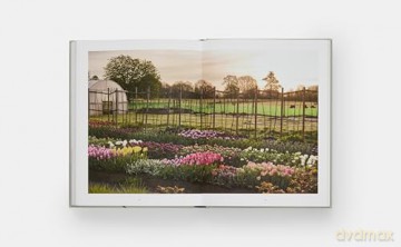 The Tulip Garden: Growing and Collecting Species, Rare and Annual Varieties - Polly Nicholson [KSIĄŻKA]