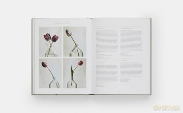 The Tulip Garden: Growing and Collecting Species, Rare and Annual Varieties - Polly Nicholson [KSIĄŻKA]