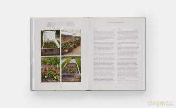 The Tulip Garden: Growing and Collecting Species, Rare and Annual Varieties - Polly Nicholson [KSIĄŻKA]