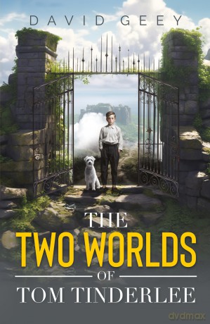 The Two Worlds of Tom Tinderlee - David Geey [KSIĄŻKA]