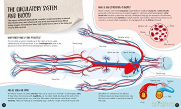 The Ultimate Atlas - Human Body - Irena Trevisan [KSIĄŻKA]