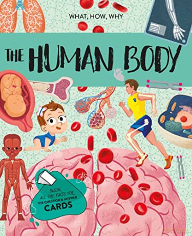 The Ultimate Atlas - Human Body - Irena Trevisan [KSIĄŻKA]
