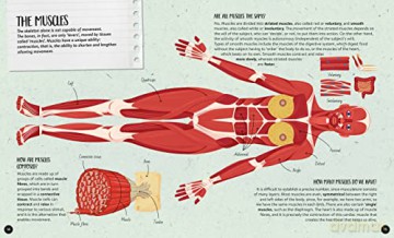 The Ultimate Atlas - Human Body - Irena Trevisan [KSIĄŻKA]