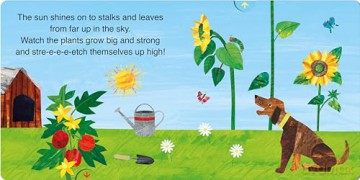 The Very Hungry Caterpillar's Garden: A push-and-pull adventure - Eric Carle [KSIĄŻKA]