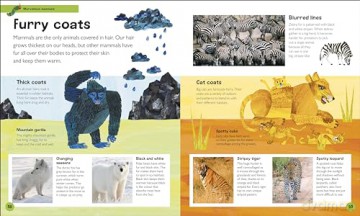 The Very Hungry Caterpillar's Very First Animal Encyclopedia: An Introduction to Animals, For VERY Hungry Young Minds (The Very Hungry Caterpillar Encyclopedias) - Dk [KSIĄŻKA]
