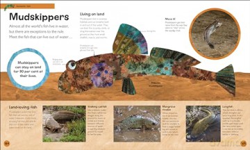 The Very Hungry Caterpillar's Very First Animal Encyclopedia: An Introduction to Animals, For VERY Hungry Young Minds (The Very Hungry Caterpillar Encyclopedias) - Dk [KSIĄŻKA]