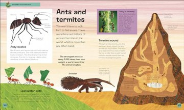 The Very Hungry Caterpillar's Very First Animal Encyclopedia: An Introduction to Animals, For VERY Hungry Young Minds (The Very Hungry Caterpillar Encyclopedias) - Dk [KSIĄŻKA]