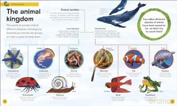 The Very Hungry Caterpillar's Very First Animal Encyclopedia: An Introduction to Animals, For VERY Hungry Young Minds (The Very Hungry Caterpillar Encyclopedias) - Dk [KSIĄŻKA]