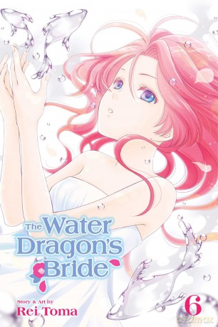 The Water Dragon's Bride 6: Volume 6 - Rei Toma [KSIĄŻKA]
