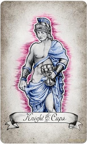 The Way Seekers Tarot - Ndr [KSIĄŻKA]