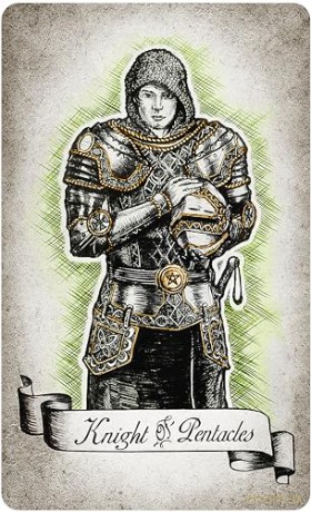 The Way Seekers Tarot - Ndr [KSIĄŻKA]