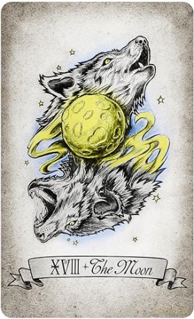 The Way Seekers Tarot - Ndr [KSIĄŻKA]