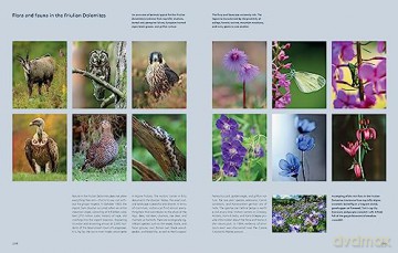 The Wild Alps: Unique National Parks, Nature Reserves, and Biosphere Reserves - Katinka Holupirek [KSIĄŻKA]