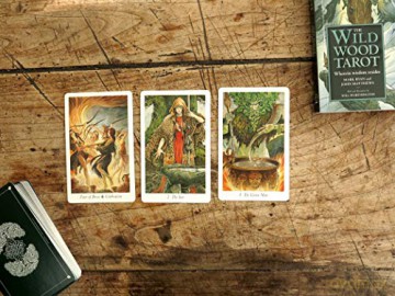 The Wildwood Tarot: Wherein wisdom resides (book and cards) - Mark Ryan [KSIĄŻKA]