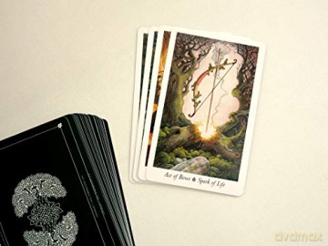 The Wildwood Tarot: Wherein wisdom resides (book and cards) - Mark Ryan [KSIĄŻKA]