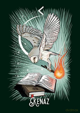 The Witch's Familiar Runic Oracle: A 24-Card Deck and Guidebook - Athene Noctua [KSIĄŻKA]