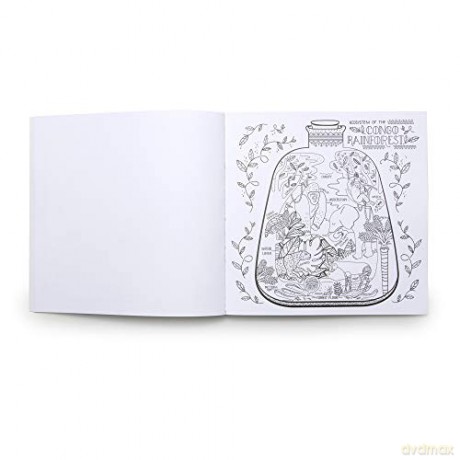 The Wondrous Workings of Science and Nature Coloring Book: 40 Line Drawings to Color - Rachel Ignotofsky [KSIĄŻKA]