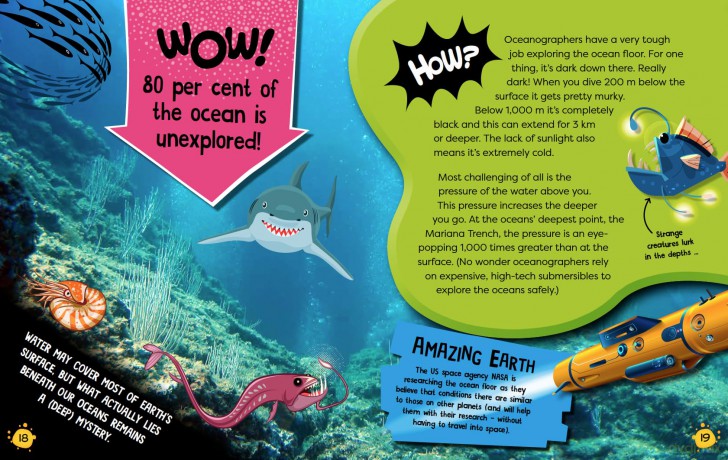 The Wow and How of Planet Earth - Annabelle Lynch [KSIĄŻKA]