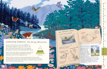 There's a Mountain in This Book - Rachel Elliot [KSIĄŻKA]
